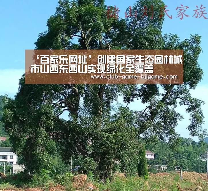 百家乐网址